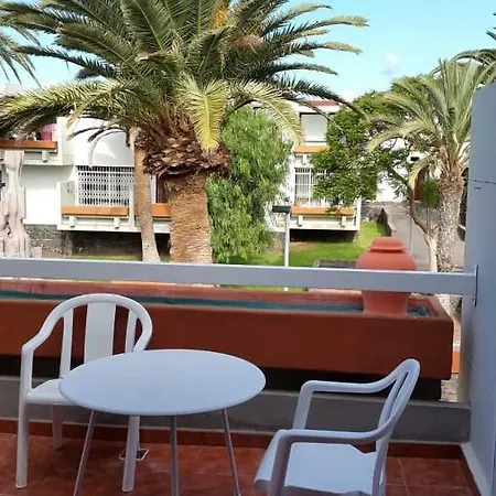 Frontera Primavera * طوستا ديل سيلونثيو